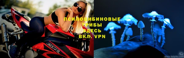 a pvp Алексин