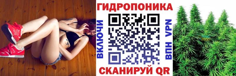 Купить закладки  Малаховка  Каннабис Ganja 